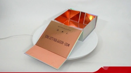 주문 중국 도매 호화스러운 검정은 자석을 가진 주문을 받아서 만들어진 엄밀한 접히는 Foldable 마분지 포장 종이 포장 선물 상자를 인쇄했습니다